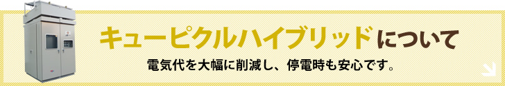キュービックハイブリッドについて